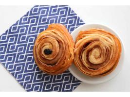 Pľundrové osie hniezdo